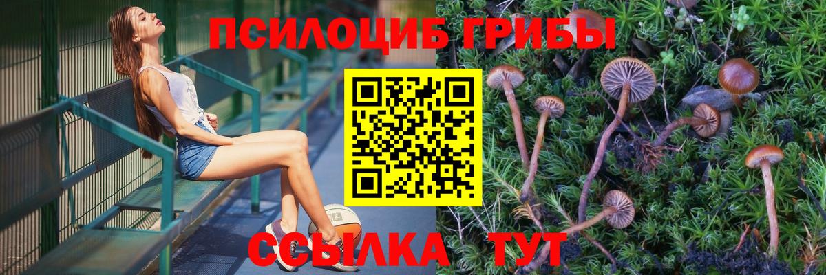 Галлюциногенные грибы прущие грибы Мурино