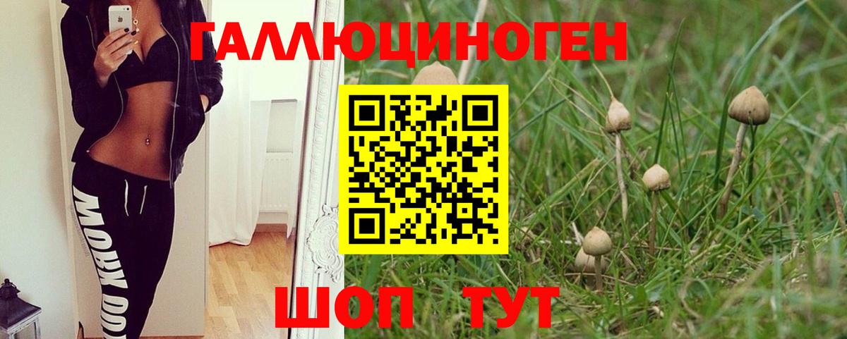 Мурино  Псилоцибиновые грибы Magic Shrooms  Вход с VPN 